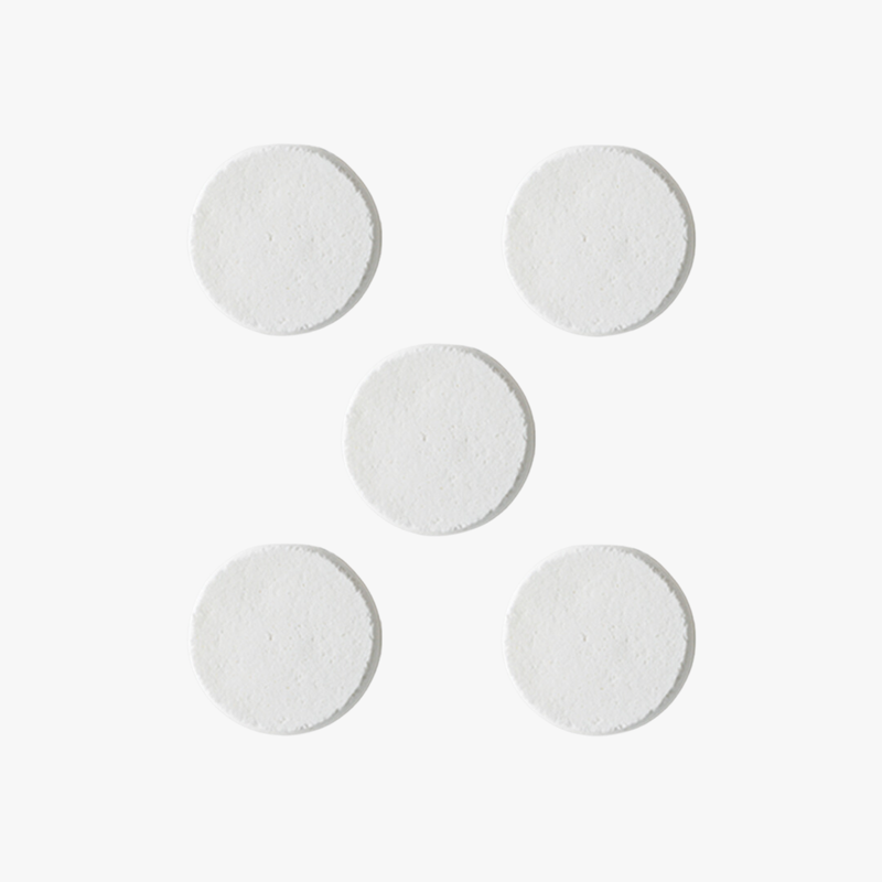 Refreshing Mint Shower Steamers | Nature Bee