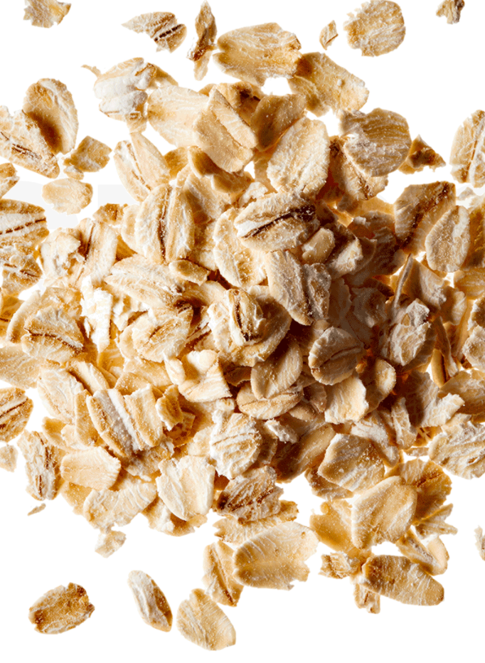 Large Rolled Oats
