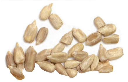 Sunflower Seeds - Roasted NO salt